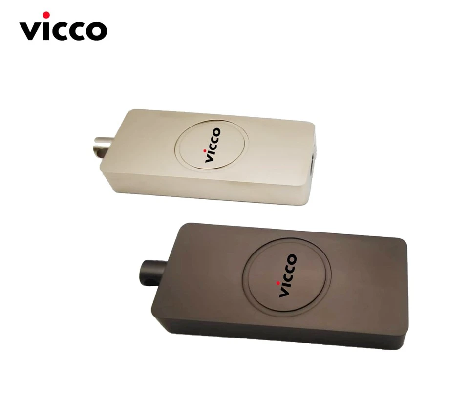 High Speed Portable SSD With TYPE C