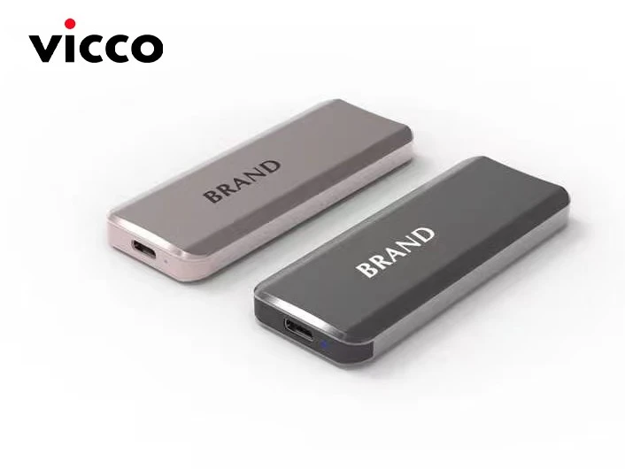 High Speed Portable SSD With TYPE C